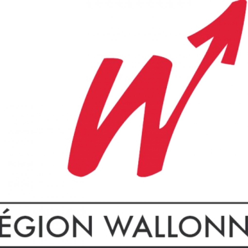 Région Wallonne : berceau des entreprises à fort intérêt pour les investisseurs africains