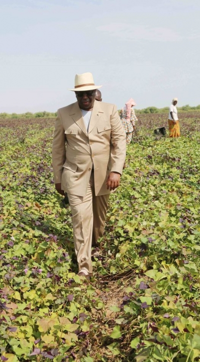 S&eacute;n&eacute;gal&nbsp;: Le Plan S&eacute;n&eacute;gal Emergent
